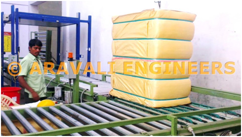 Transfer Conveyor